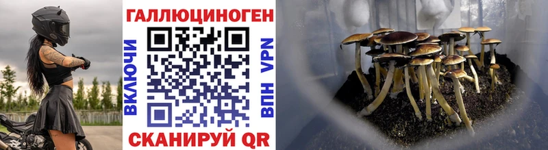 Галлюциногенные грибы прущие грибы  купить закладку  ОМГ ОМГ рабочий сайт  маркетплейс официальный сайт  Сафоново 